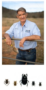 John Feehan, Australia's foremost dung beetle expert.