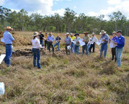 A group of people in an open paddock looking at paper and the presenter.