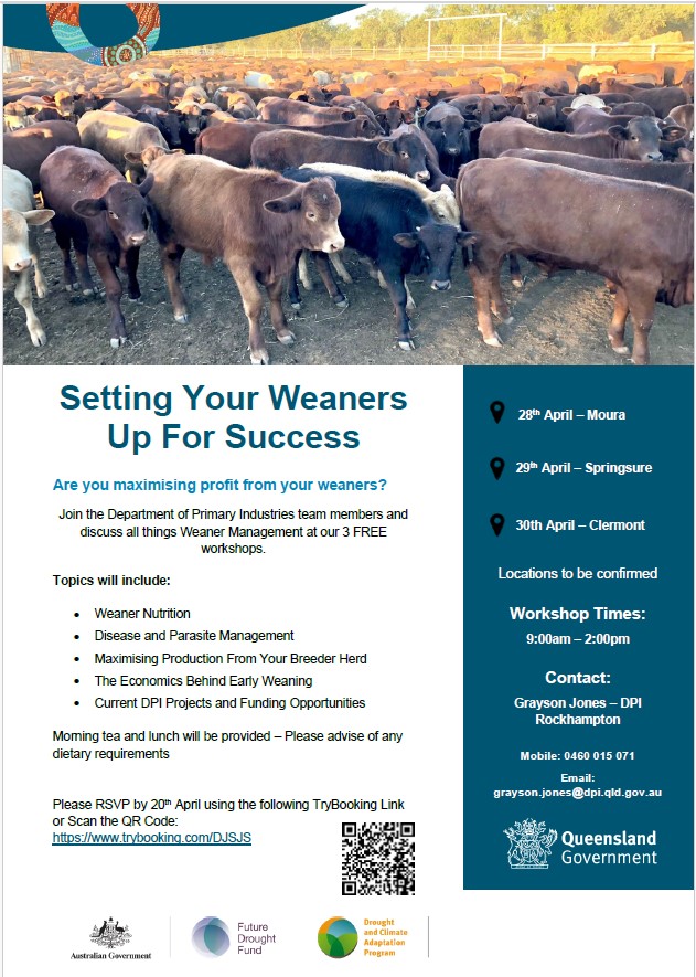 Flyer for the Moura weaner management workshop