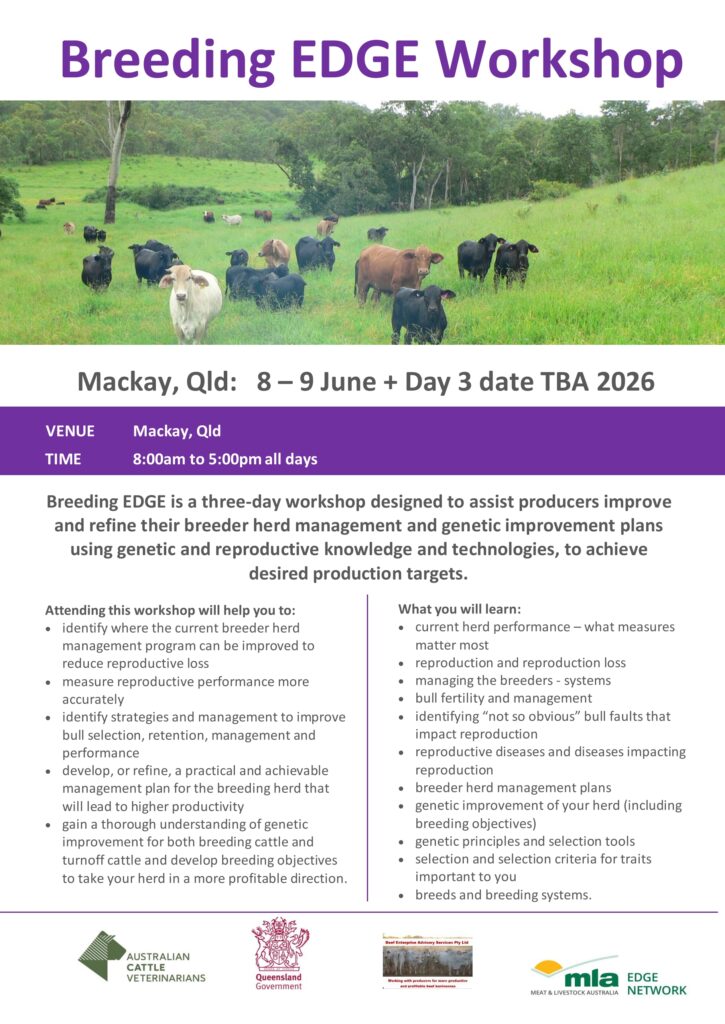 Flyer promoting MLA's Breeding EDGE workshop at Mackay in June 2026 - page 1