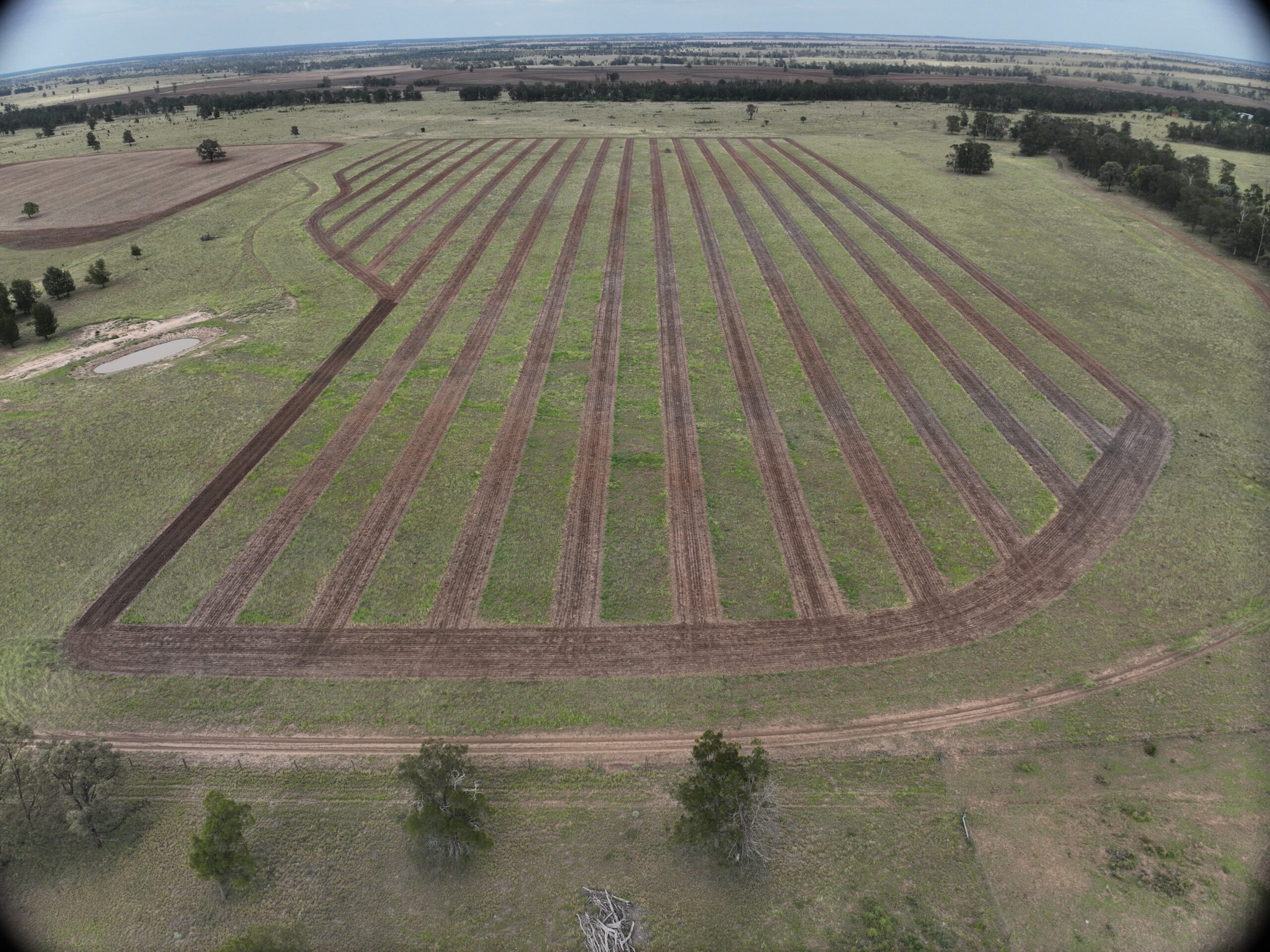 Drone photo showing cultivated lines across a paddock of green grass.