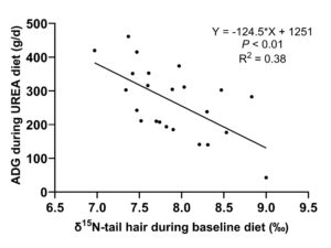 Line graph showing a linear relationship between steer weight gain and nitrogen use efficiency when fed urea supplement