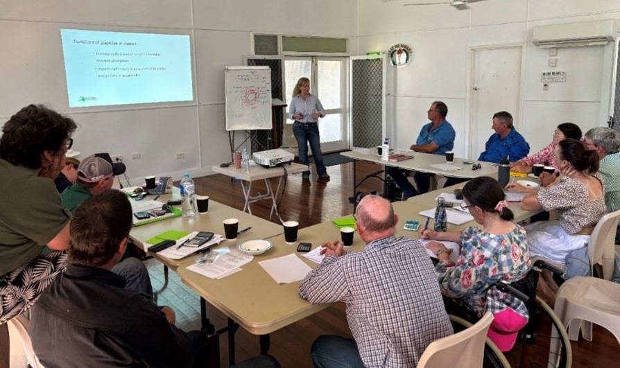Members of the Torrens Creek Producer Group sit in small circle of tables, inside, looking at a powerpoint and a whiteboard diagram