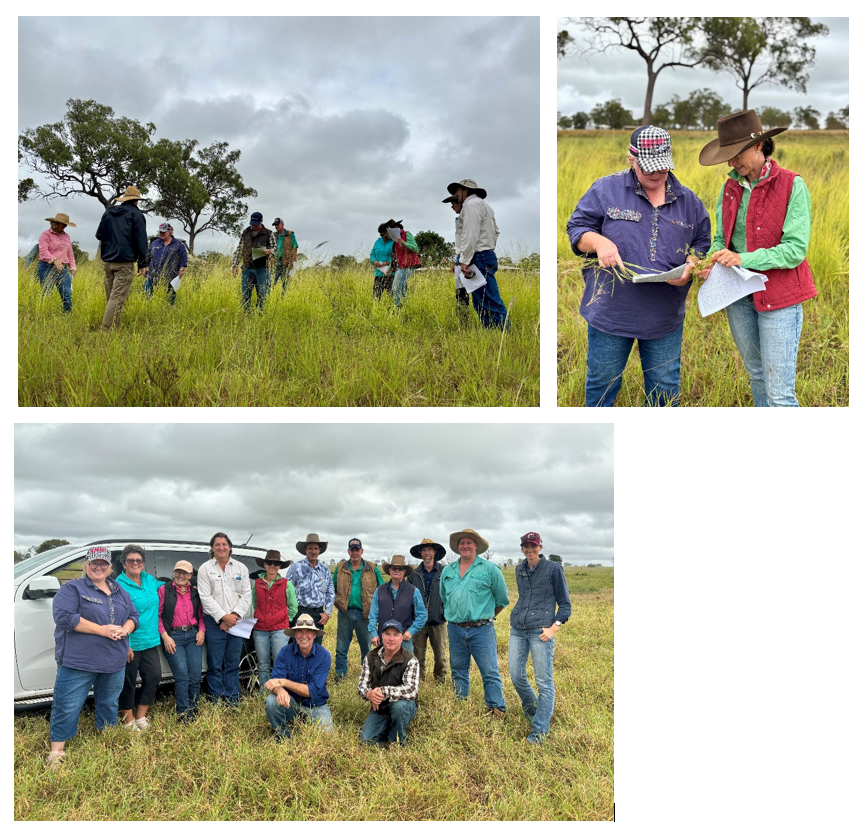 Members of the Torrens Creek Producer Group in the paddock looking at pasture specimens.