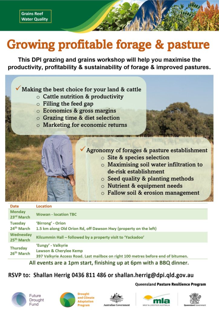 Flyer promoting DPI's Grazing & Grains workshop in QLD in March 2026