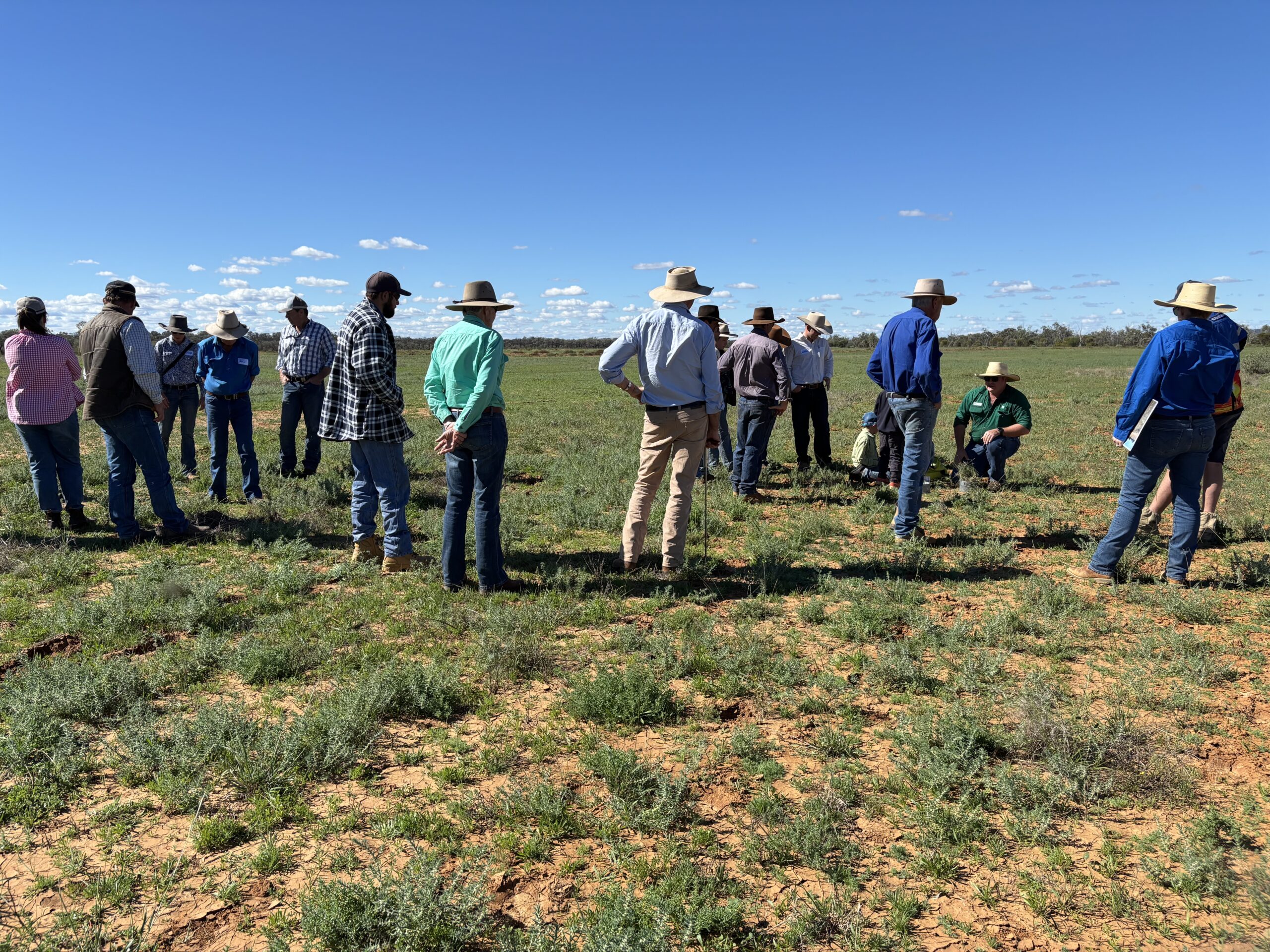 Group of graziers standing in a paddock of green grass.