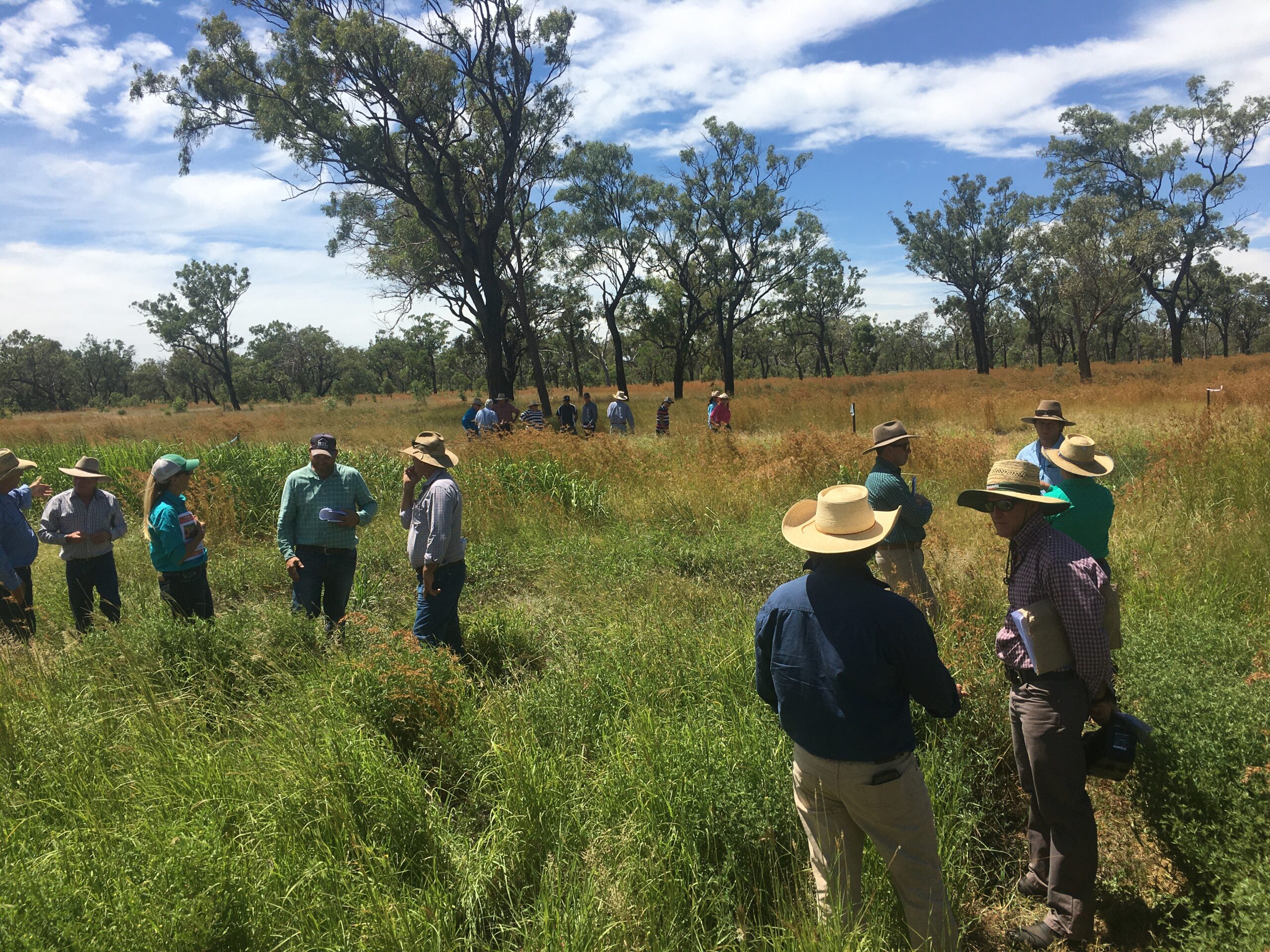 Group of people standing in a paddock.