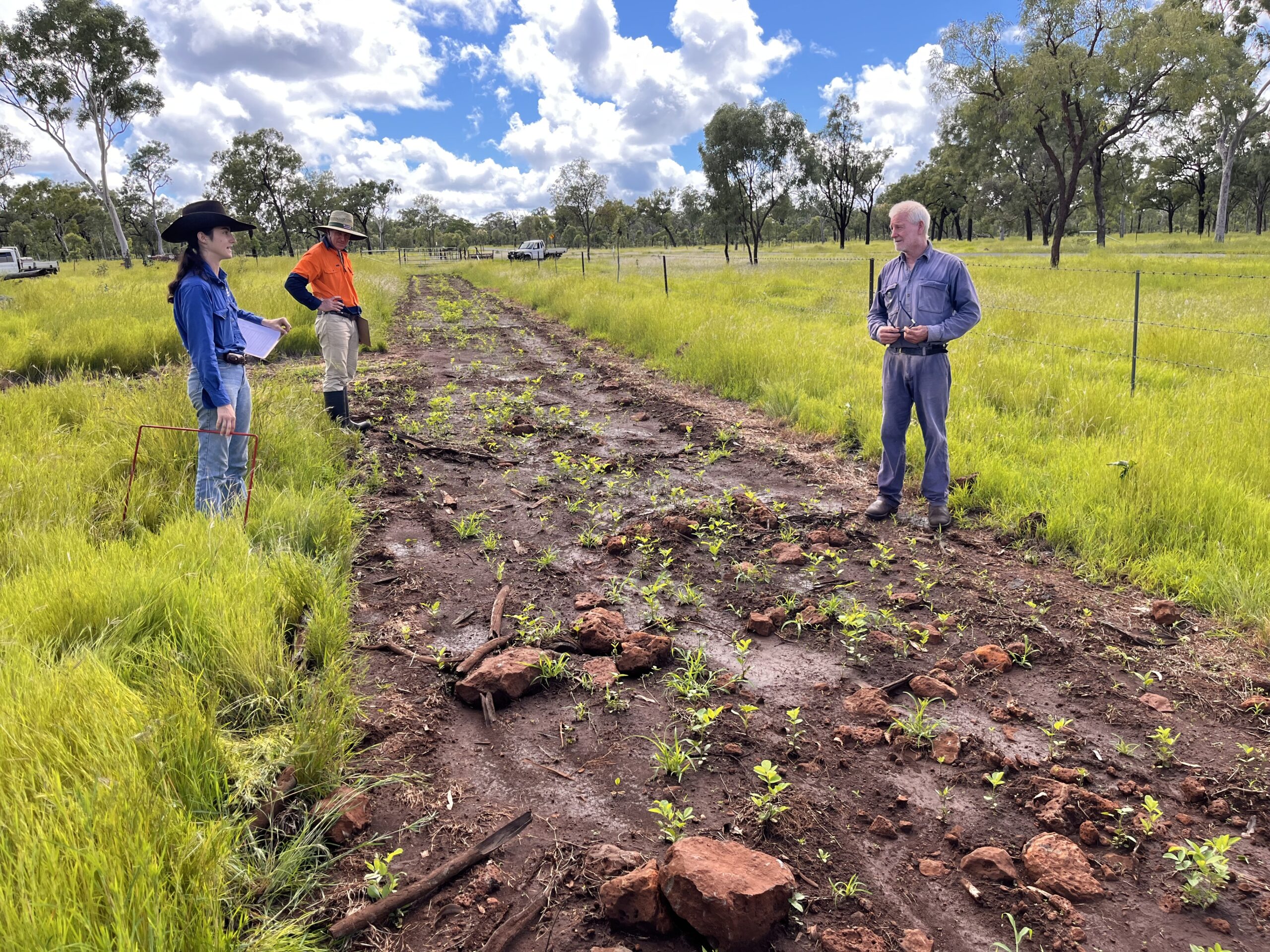 Three people standing in a paddock of green grass with a cultivated strip of soil up the middle.