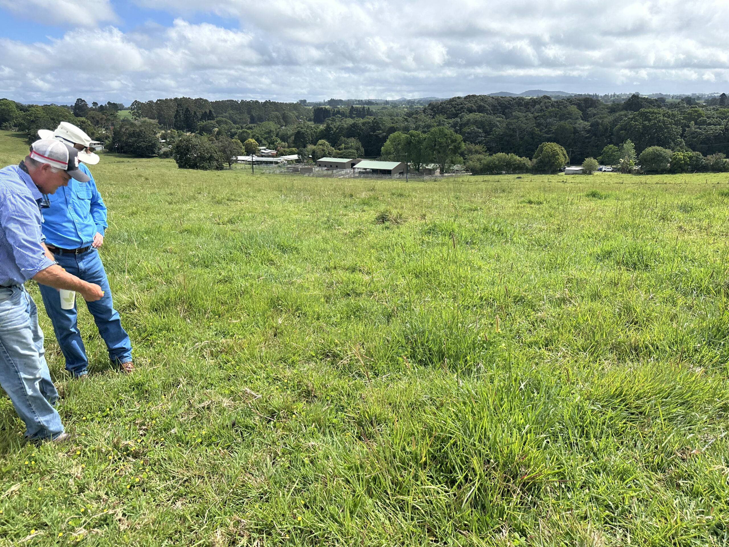 Two men standing in a bright green pasture pointing at the ground.