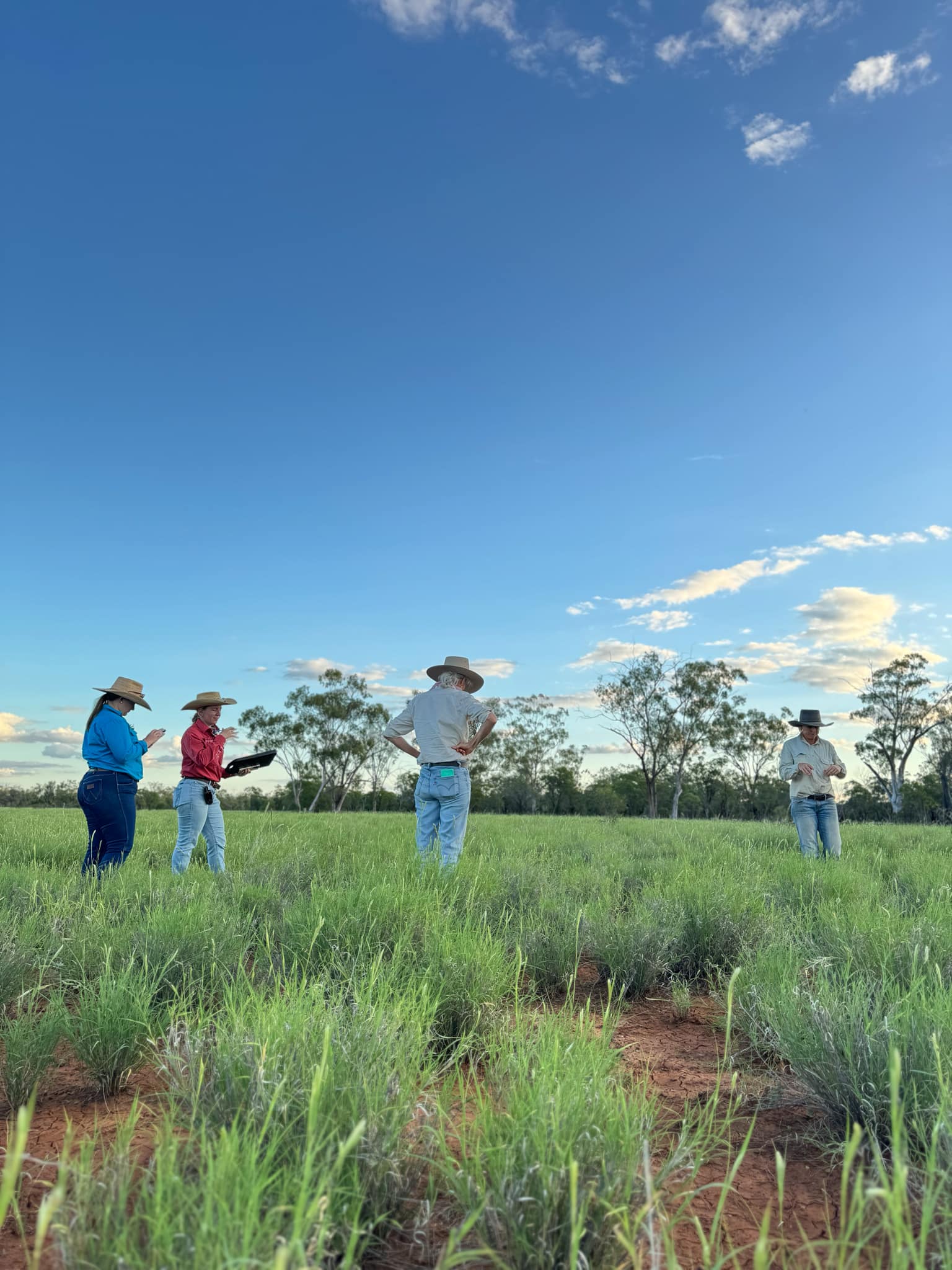 Group of people standing in knee-high green mitchell grass.