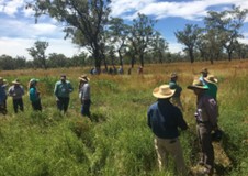 Group of people standing in a paddock of green grasses and legumes.