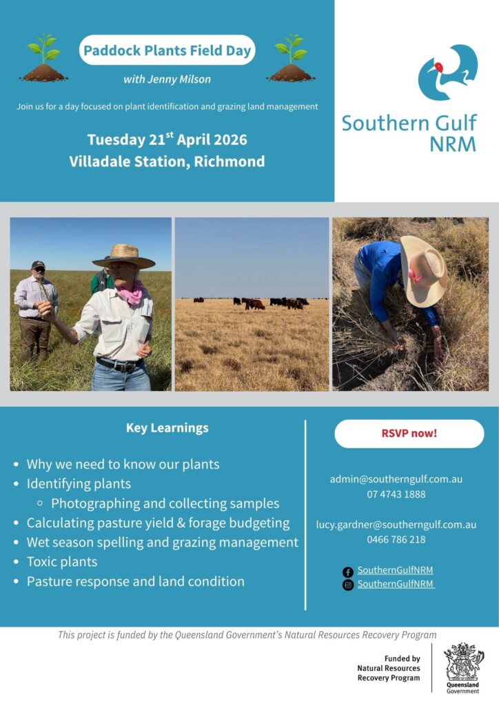 Southern Gulf Paddock Plants Field Day flyer