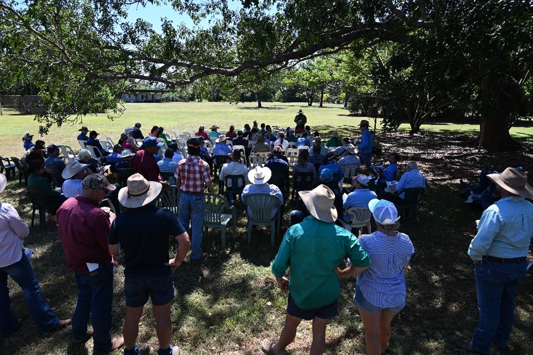 Attendees of the DDRF field day sit under the beautiful mahogany trees as they listen to a presentation from Brian Thistleton. 