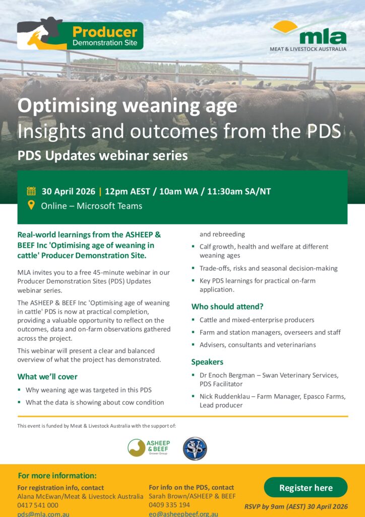 MLA webinar flyer - Optimising weaning age