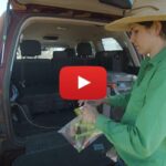 Former DPI Extension Officer Andrea McKenzie assembles a new vaccination gun behind a vehicle