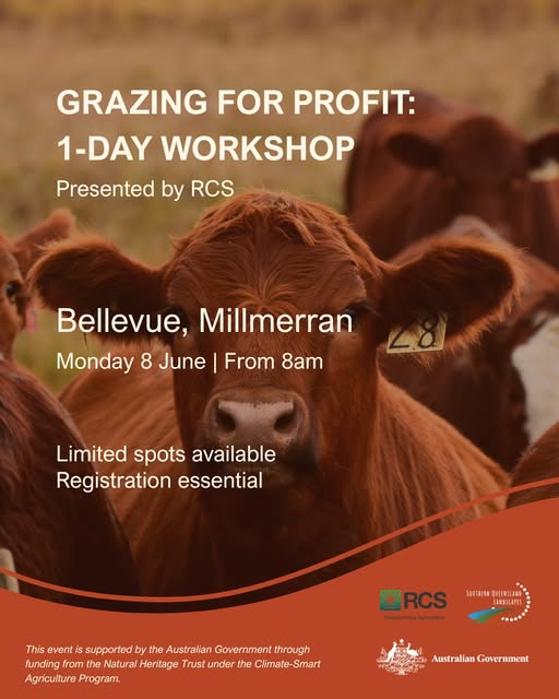 RCS one day workshop MIllerman flyer
