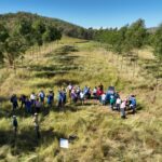 A group of SEQ beef producers in the Steak n Wood trial site at Brian Pastures Research Station