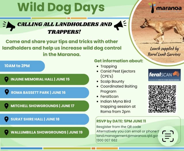 Maranoa Regional Council Wild Dog Information Session flyer