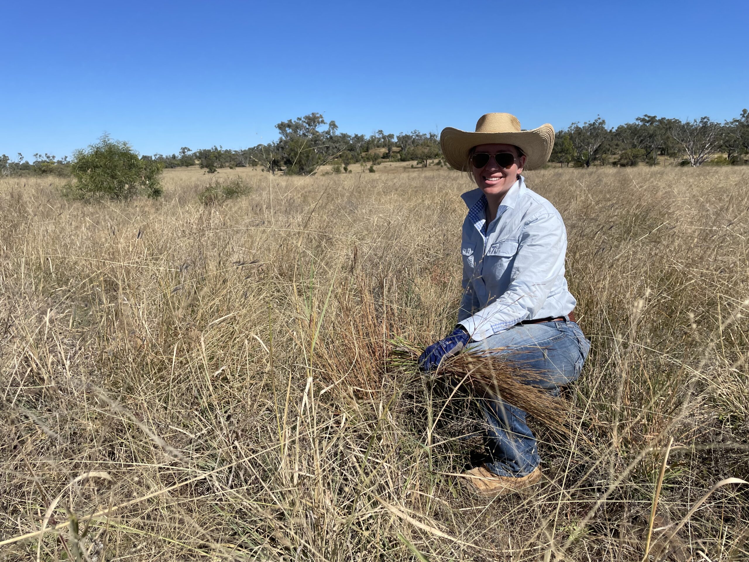 Lady in a light blue shirt and jeans wearing a hat kneeling in the pasture.