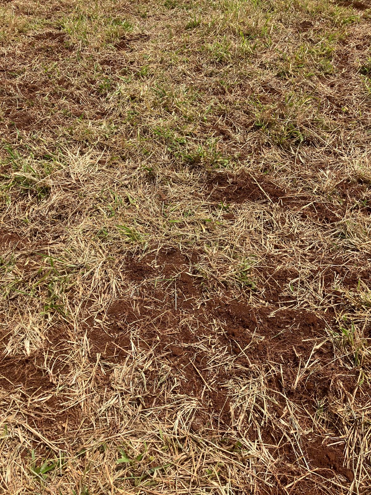 Paddock with chocolate coloured soil and dead grass.