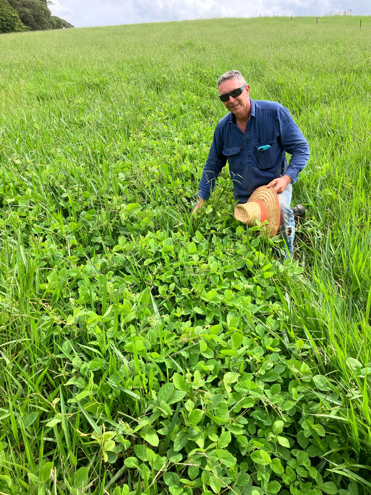 Man crouched in a paddock of green grass with a strip of green legumes.