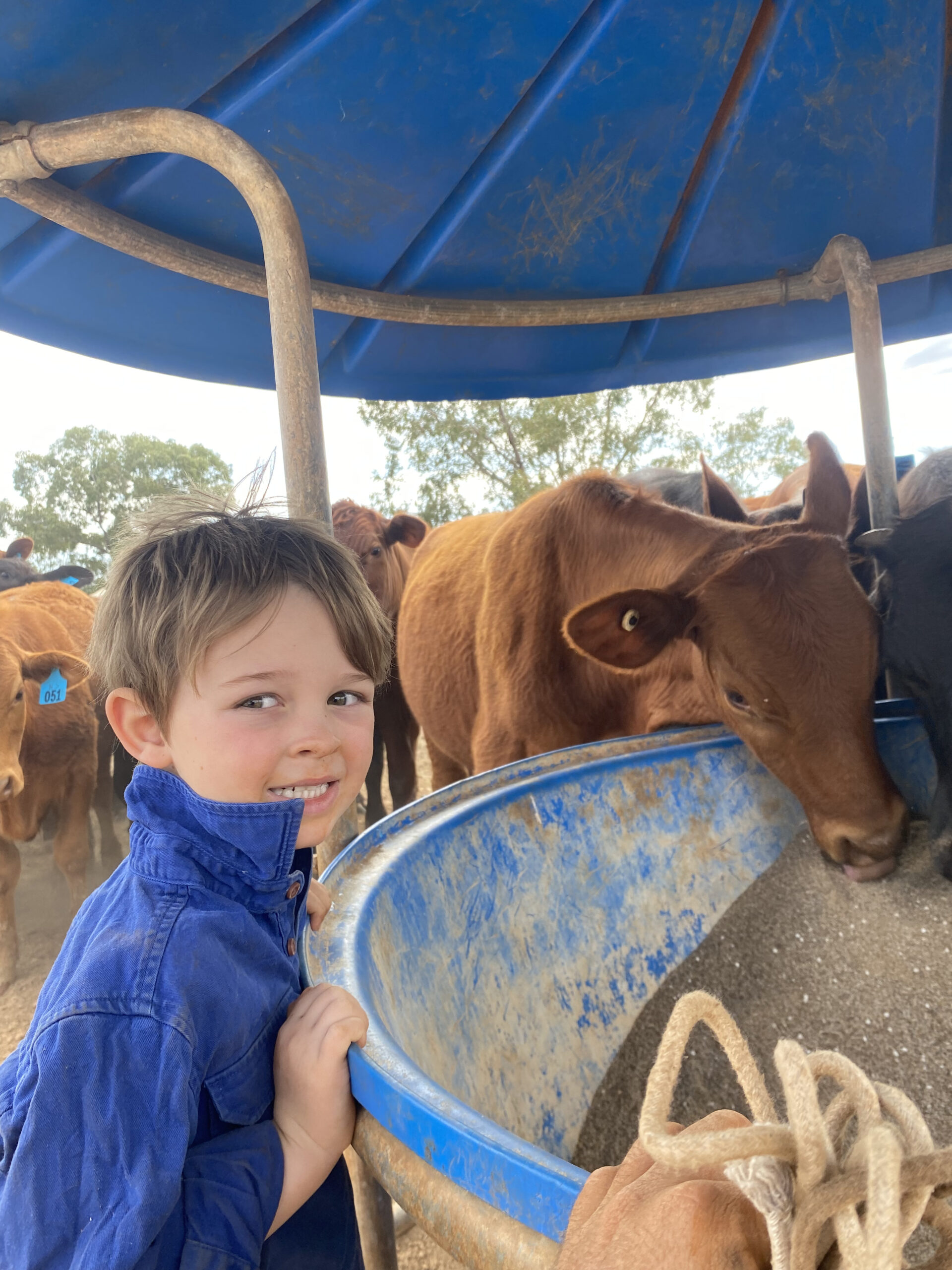 Producer's son, Banjo Hennessy.