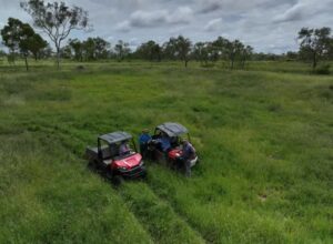 John Lethbridge, a Queensland grazier restores degraded land and builds drought resilience through smart erosion control, rotational grazing, and local collaboration.