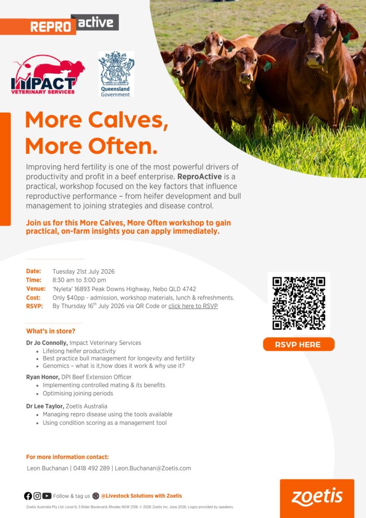 More Calves, More Often workshop flyer Nebo July 2026