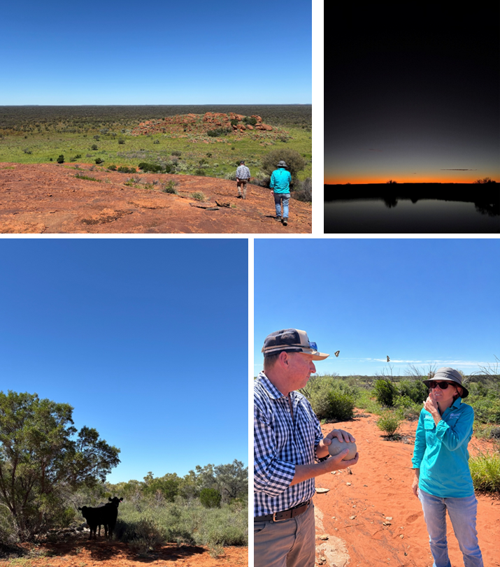 Photos of four different locations on Tieyon Station in the Central Australian rangelands, NT.