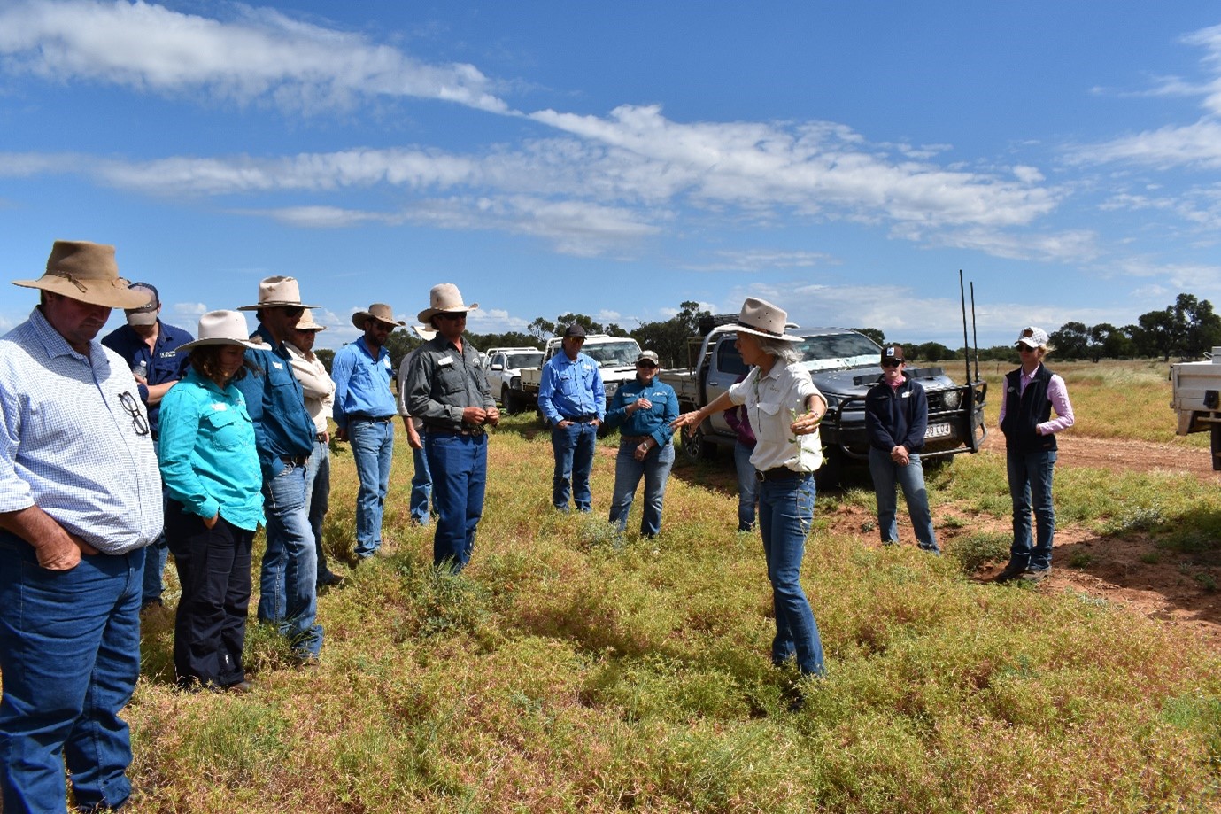 Lady in a hat standing in front of a group of graziers in the paddock.