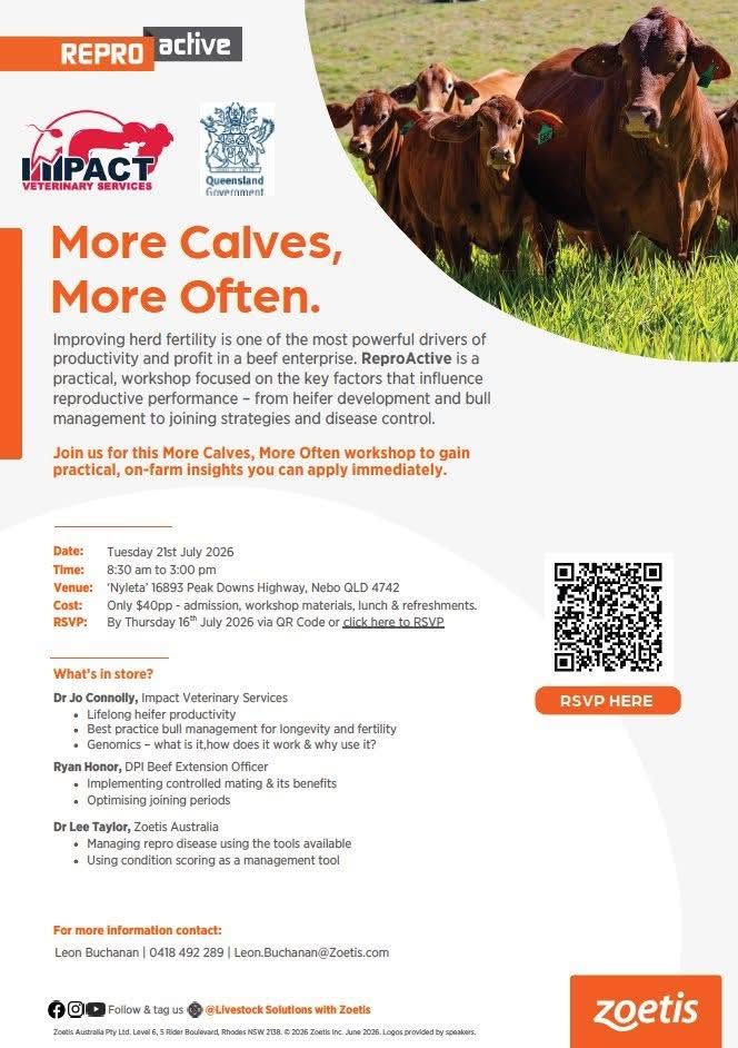ReproActive 'More Calves, More Often' workshop flyer Nebo 2026