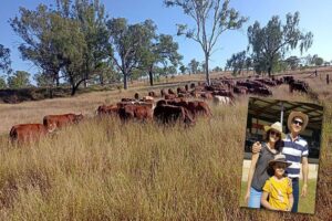 Stuart and Katie Barrett adopting grazing practices that improve soil health