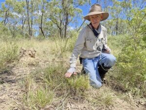 Man wearing long sleeves, wide brimmed hat and jeans crouching down to show the level of grazing on a tussock of grass.
