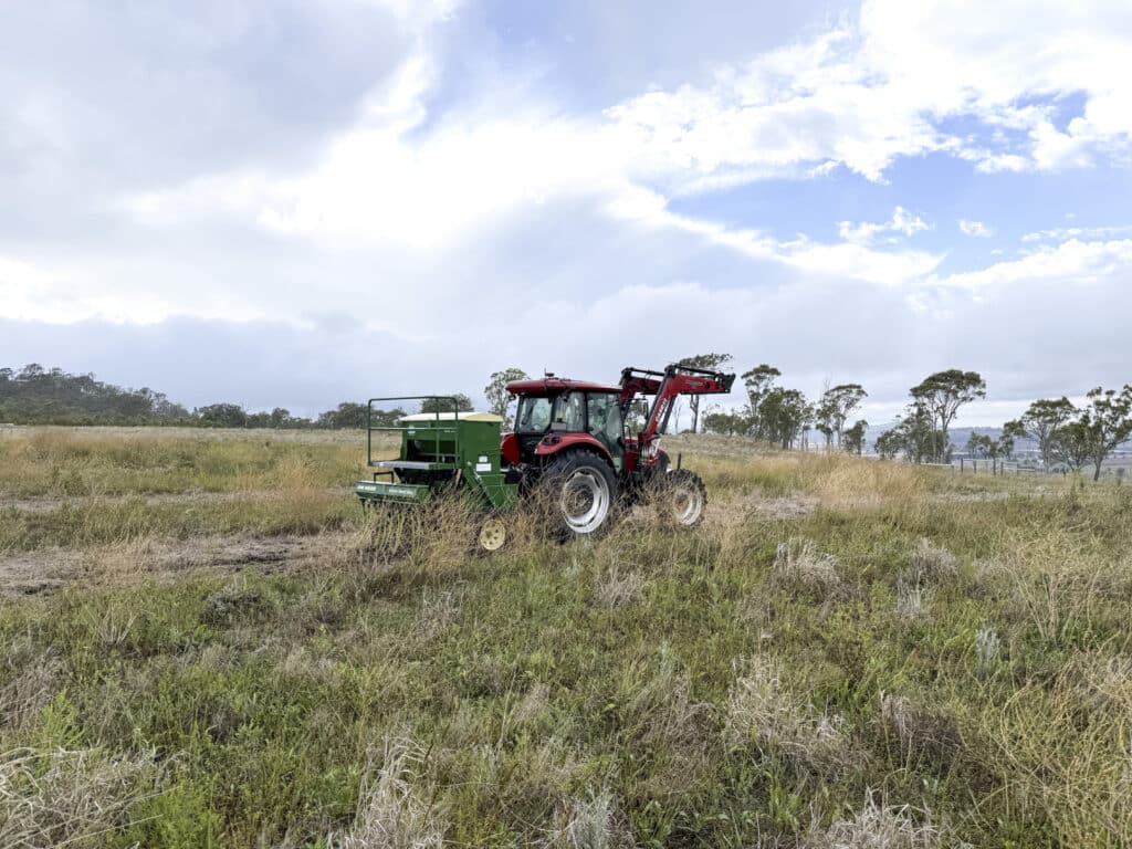 : A red tractor planting strips between existing grass, using a green disc planter.
