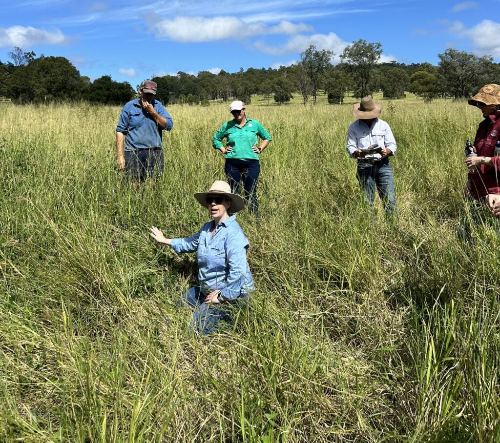 Lady crouched down in a paddock of green grass with people standing around her.
