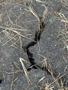 Close up photo of a deep crack in black soil.