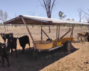 David Keene's custom-built lick trailer