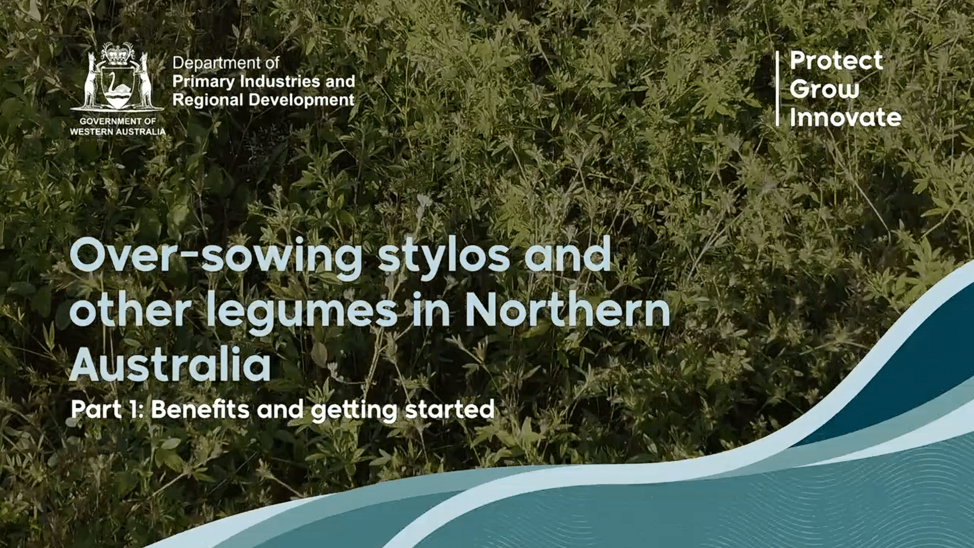 'Over-sowing stylos and other legumes in northern Australia' YouTube video part 1