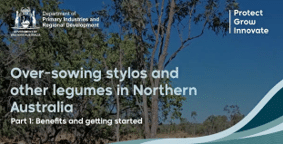 YouTube video flyer of 'Over-sowing stylos and other legumes in Northern Australia. Part 1: Benefit and getting started.