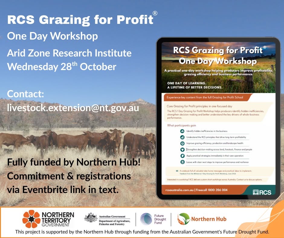 RCS one day workshop Alice Springs flyer