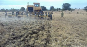 Cultivating a rundown buffel pasture using a blade plough.