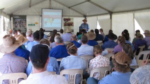 Participants at the Adelaide River BeefUp forum