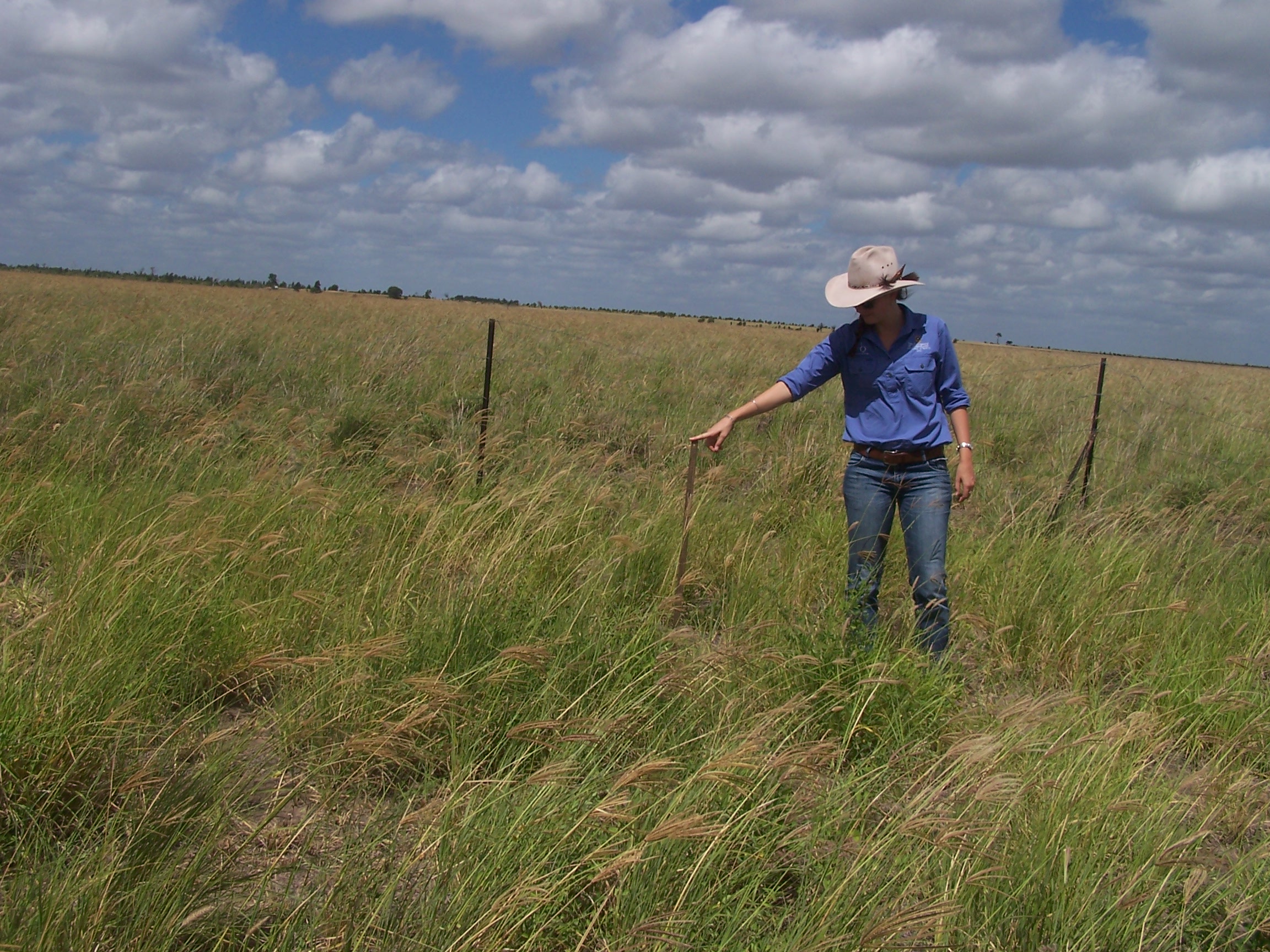 Cover page of the Department of Agriculture and Food’s 'Climate in the Pilbara' report.