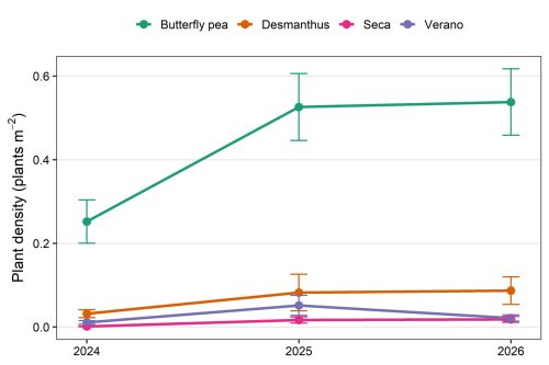 A line graph showing the plan densities of plants grown at Mt Sanford legume demonstration site