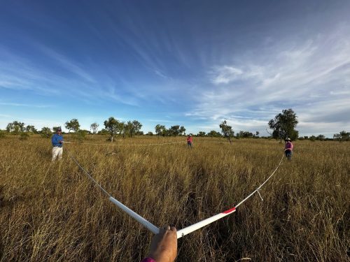 People in a field counting the number of plants per meter squared